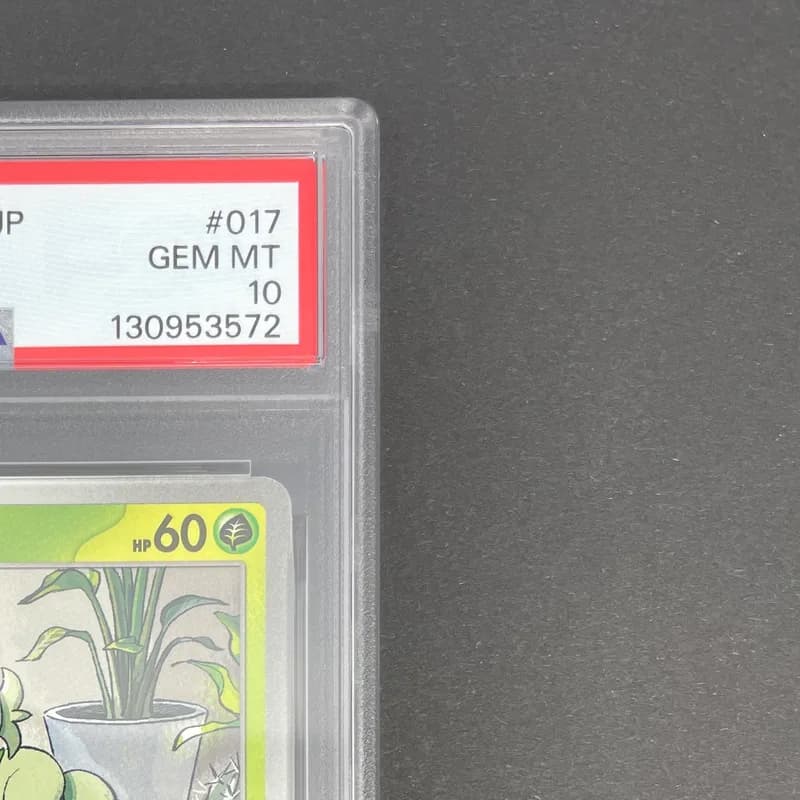 Sprigatito 017/M-P PSA10  Pokemon card Promo (1.NM) thumbnail 3