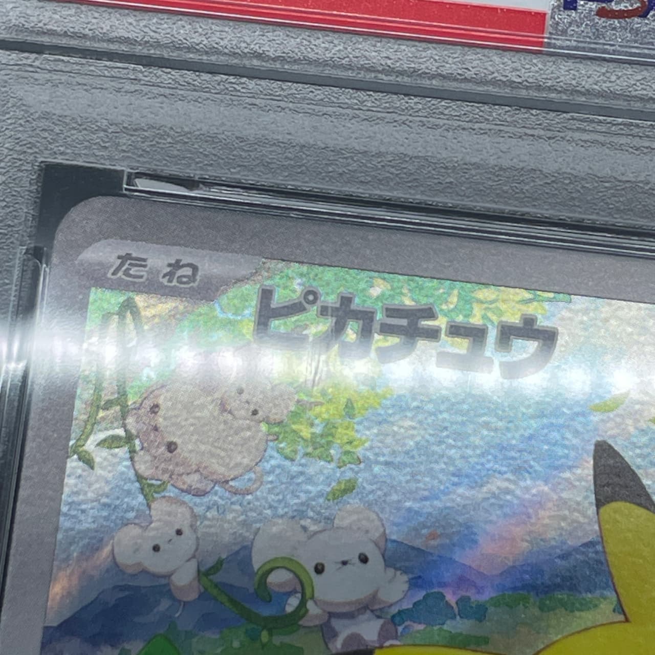 Pikachu 218/SV-P PSA10  Pokemon card Promo thumbnail 11