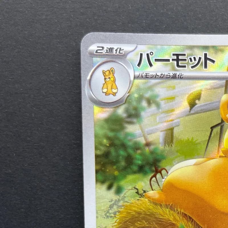 Pawmot AR 085/078 Pokemon card Violet ex sv1v (2.LP) thumbnail 4