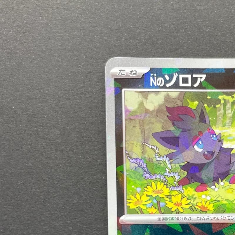 N's Zorua 200/SV-P Pokemon card Promo (3.MP) thumbnail 4