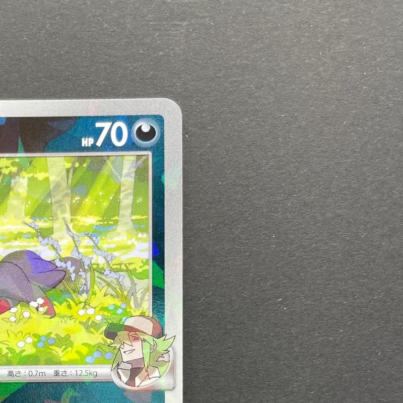 N's Zorua 200/SV-P Pokemon card Promo (3.MP) thumbnail 3