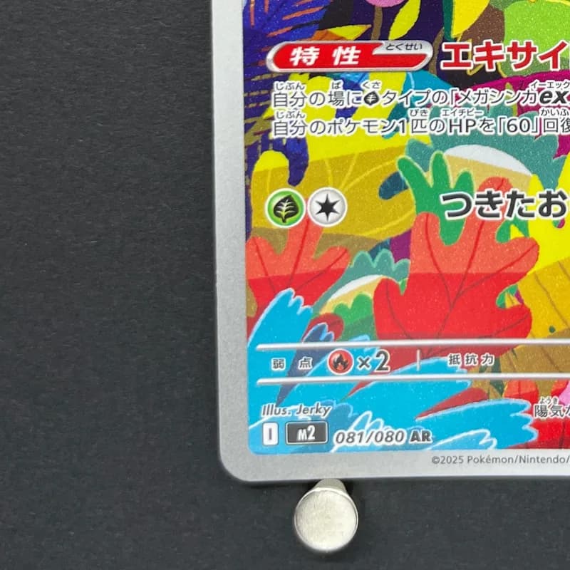 Ludicolo AR 081/080 Pokemon card Inferno X M2 (1.NM) thumbnail 6