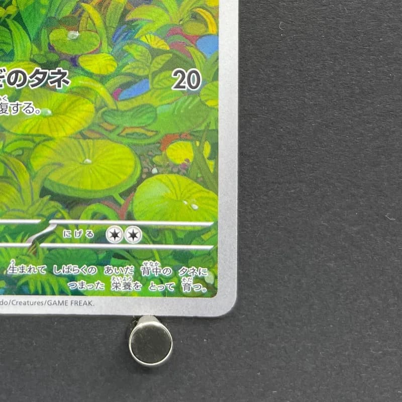 Bulbasaur AR 166/165 Pokemon card Pokemon 151 sv2a (2.LP) thumbnail 5