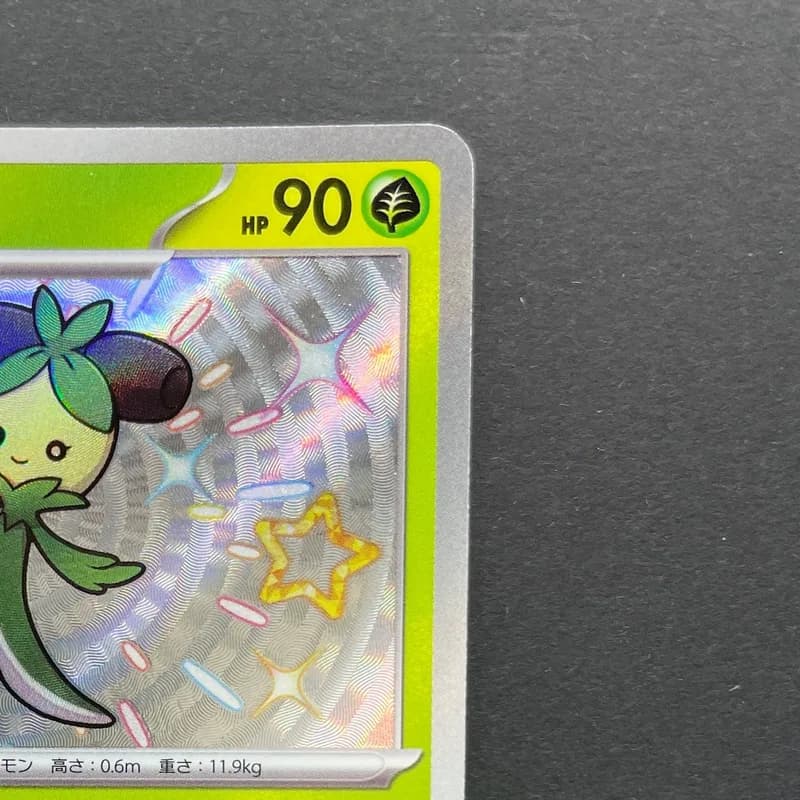 Dolliv S 204/190 Pokemon card Shiny Treasure ex sv4a (2.LP) thumbnail 3